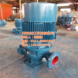 管道泵 臥式管道泵 irw100 200ib管道泵高清圖片 高清大圖