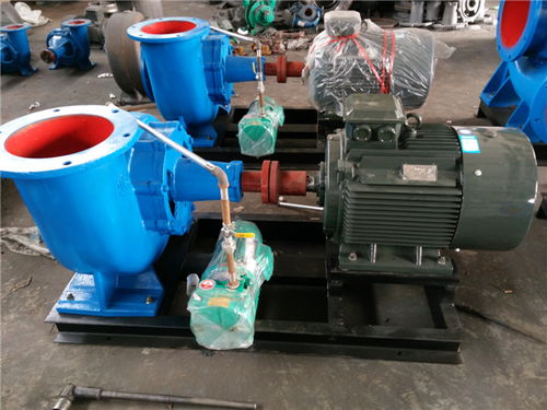 南京大流量hw型混流泵 雙能水泵 大流量hw型混流泵價格