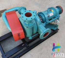 西伯章45kw壓濾機(jī)入料泵 臥式全貫流泵的專(zhuān)業(yè)解析