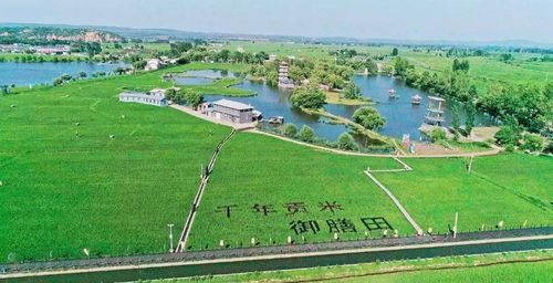 美麗鄉(xiāng)村 清涼避暑勝地與環(huán)境檢測服務的雙重魅力
