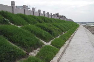綿竹加強河道水環(huán)境治理，推進生態(tài)環(huán)境檢測服務